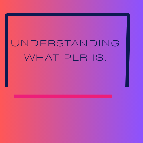 PLR(private label rights)