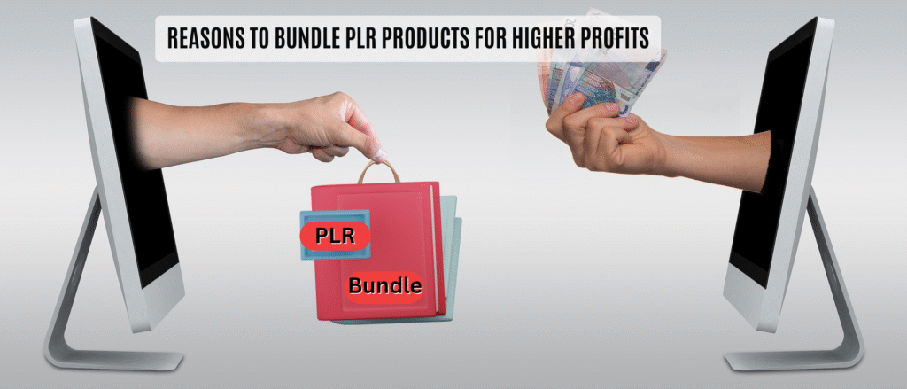 Reasons to Bundle PLR Products for Higher Profits