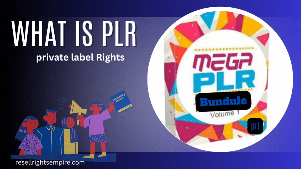 what is PLR bundle