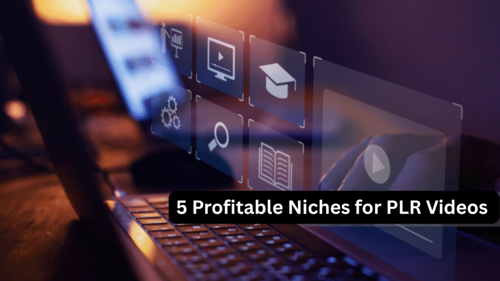 5 Profitable Niches for PLR Videos 