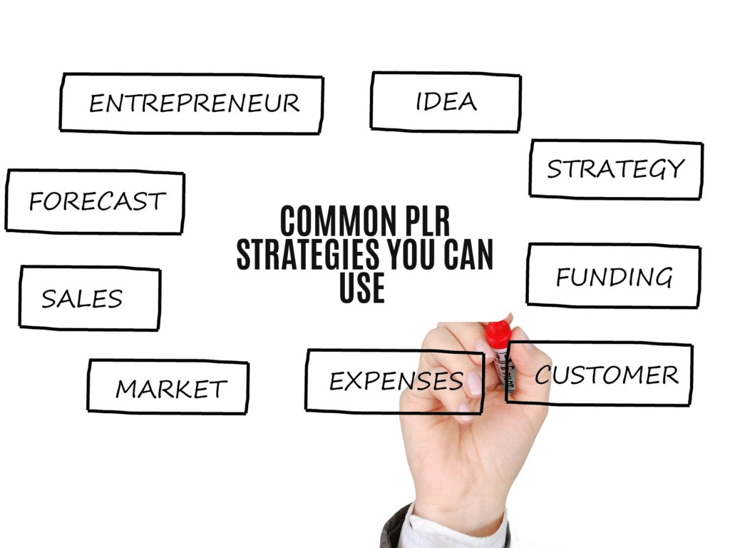 Common PLR Strategies You Can Use in 2025