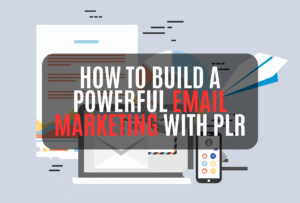 Read more about the article How to Build a Powerful Email Marketing with PLR in 2025